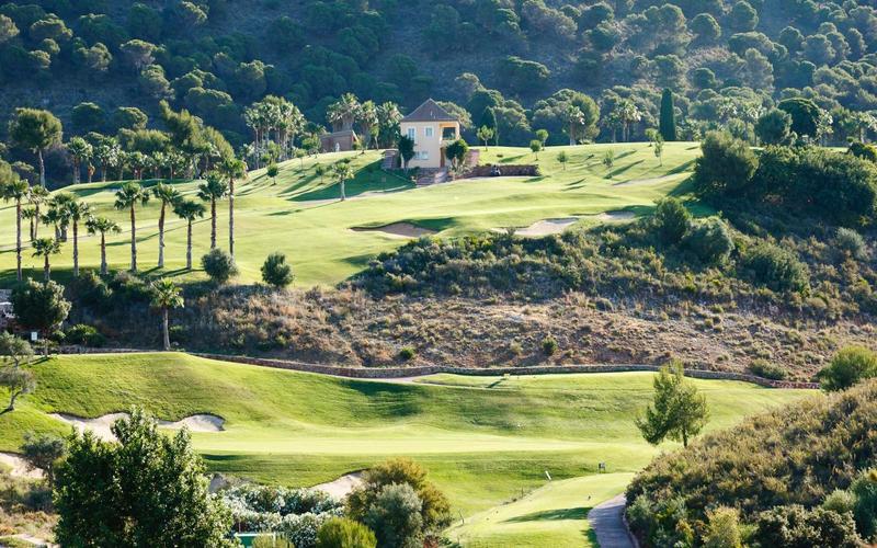 Golf course, palm trees, hills – Alhaurín Golf Resort, Valle del Guadalhorce, Málaga | AndaluciaTours
