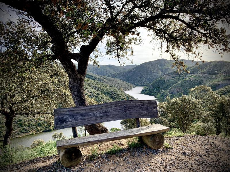 A quiet bench beneath a tree overlooking a winding river valley in the Aljarafe, Seville — pause and explore with Andaluciatours.