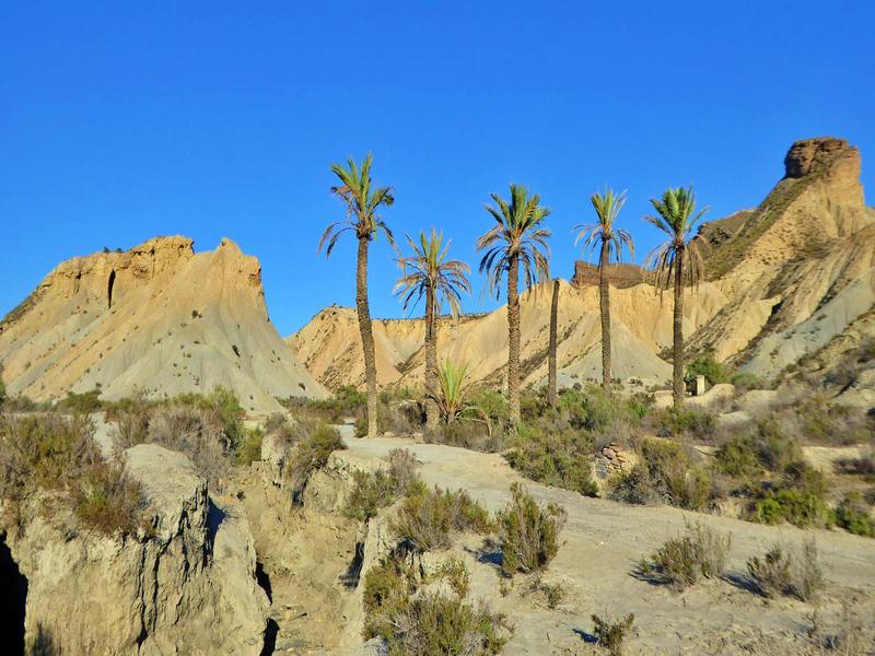 Desert, palms, landscape – Almería, Andalucía | Andaluciatours