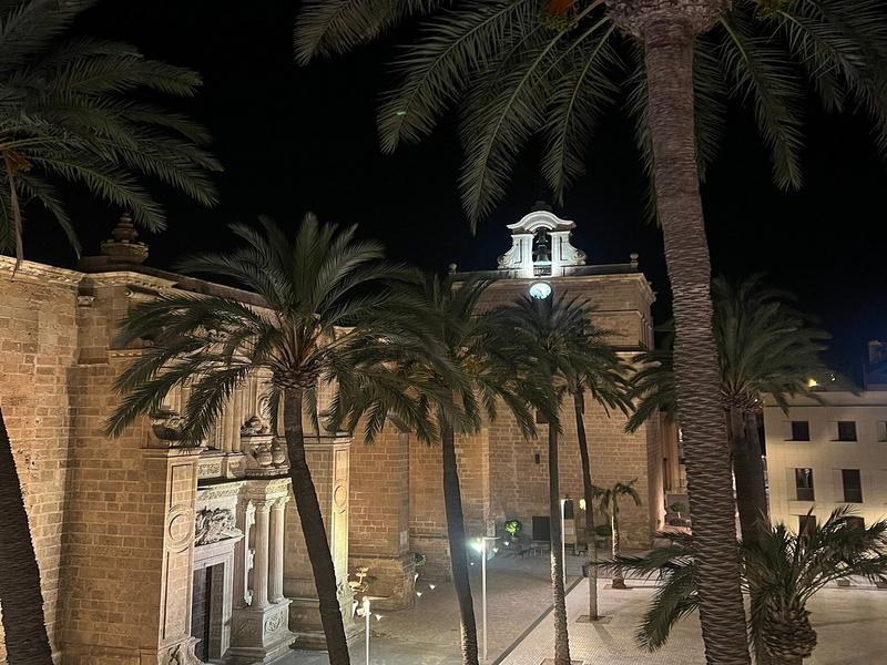 Palm trees, night, architecture – Almería, Andalucía | Andaluciatours