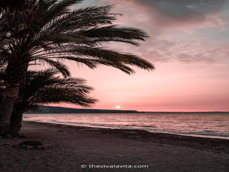 Palm trees, sunset, ocean – Almería, Andalucía | Andaluciatours