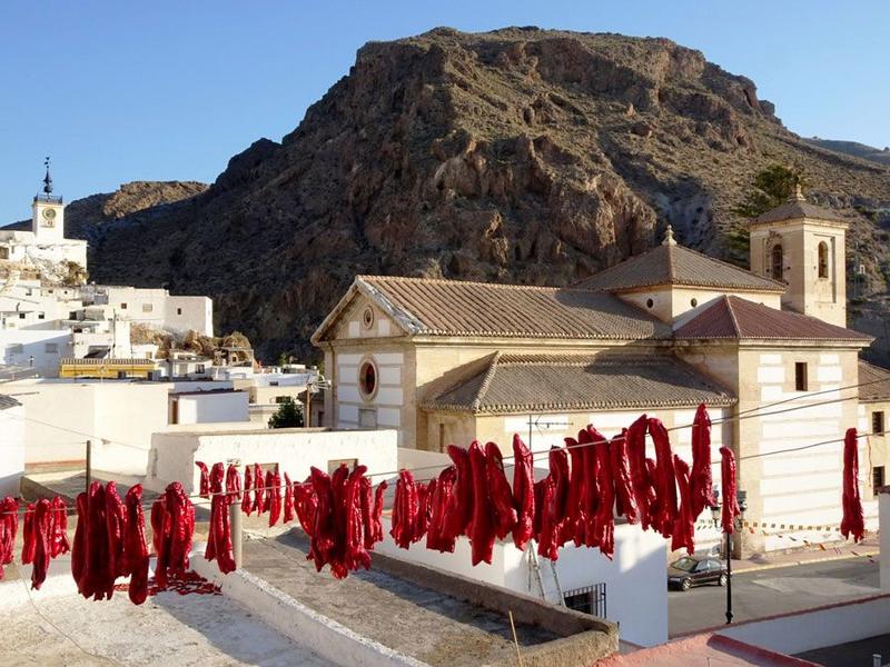 Red peppers, drying, rural – Alpujarra Almeriense, Almería province, Andalucía | Andaluciatours
