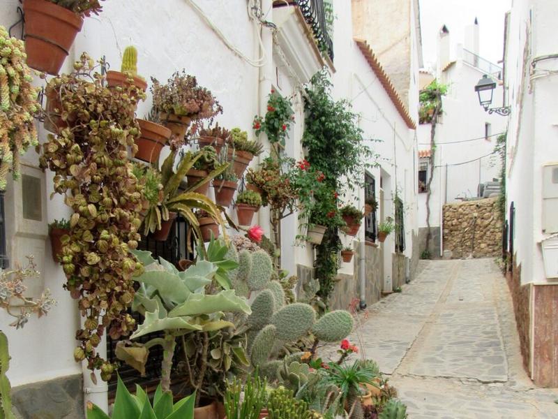 Street, plants, white buildings – Alpujarra Almeriense, Almería province, Andalucía | Andaluciatours