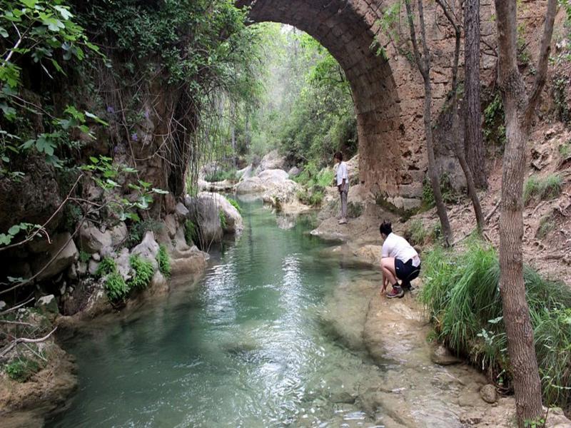 River, stone bridge, nature – Bajo Guadalquivir, Seville province, Andalucía | Andaluciatours