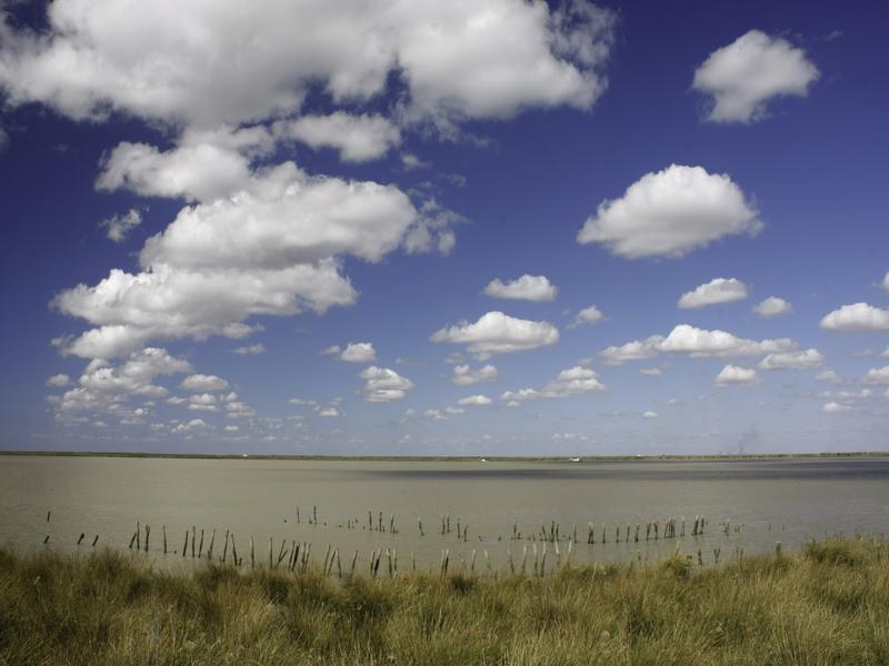 Water, clouds, grass – Bajo Guadalquivir, Seville province, Andalucía | Andaluciatours