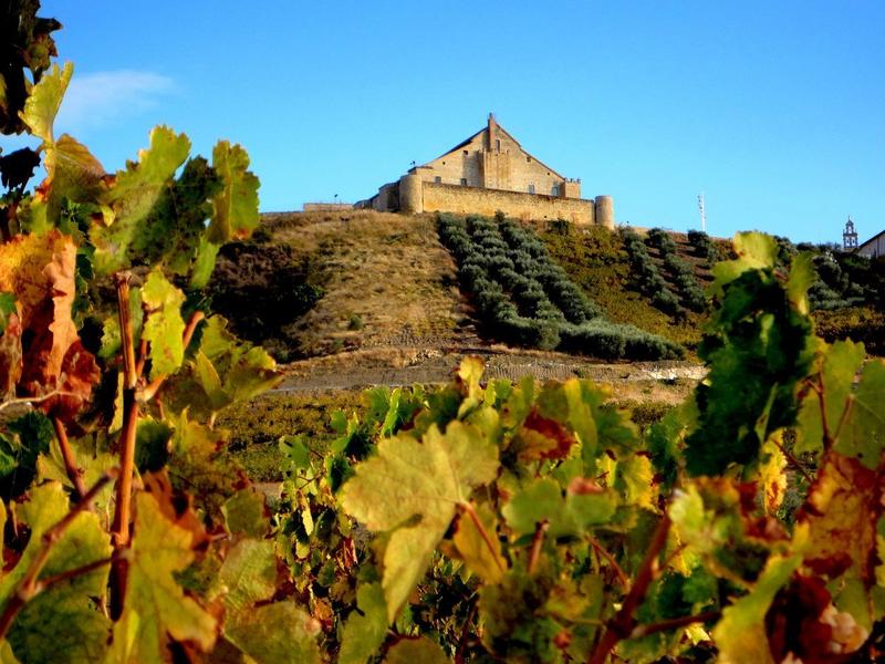 Hillside, vegetation, blue sky – Campiña Sur Cordobesa, Córdoba province, Andalucía | Andaluciatours