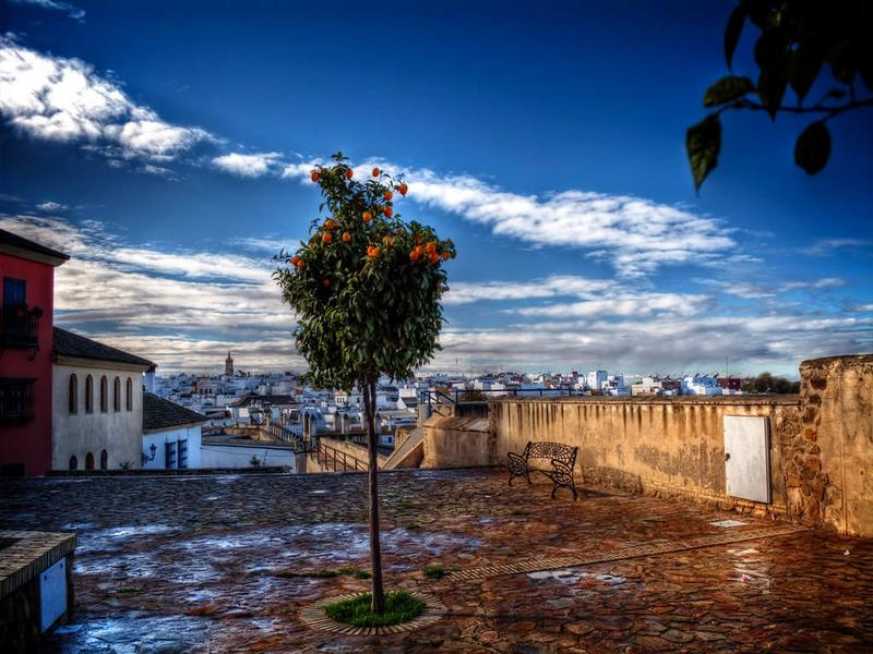 A hilltop terrace with an orange tree overlooking a white town in the Campiña de Morón y Marchena, Seville — visit with Andaluciatours.
