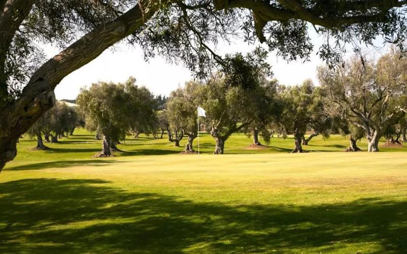Golf course, trees, green grass – Club de Golf Campano, Bahía de Cádiz, Cádiz | Andaluciatours