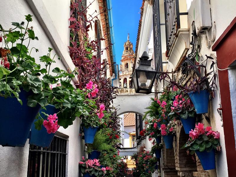 Flowerpots, alley, architecture – Córdoba, Córdoba province, Andalucía | Andaluciatours