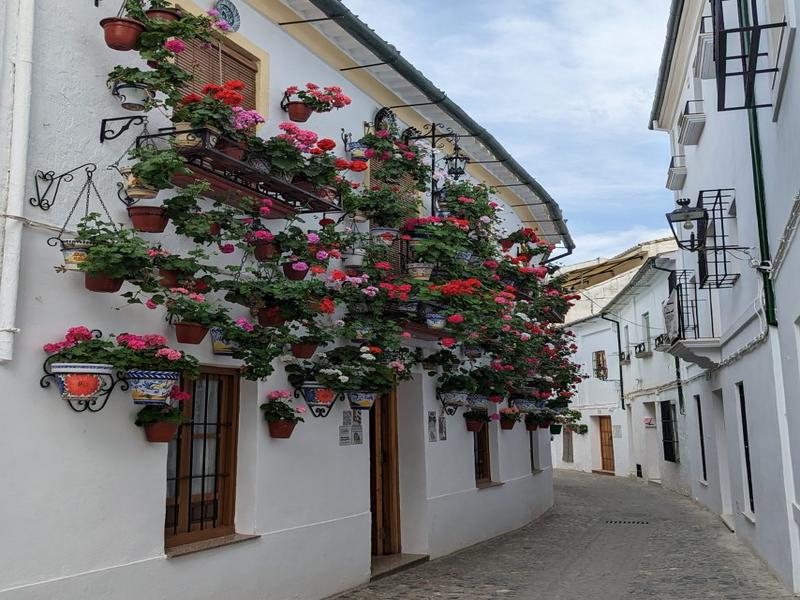Flowers, street, pots – Córdoba, Andalucía | Andaluciatours