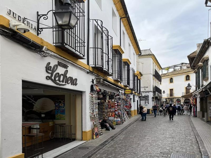 Street, buildings, tourism – Córdoba, Córdoba province, Andalucía | Andaluciatours