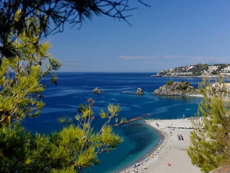 A turquoise cove framed by pine branches on the Costa Granadina, Granada — discover its beaches with Andaluciatours.