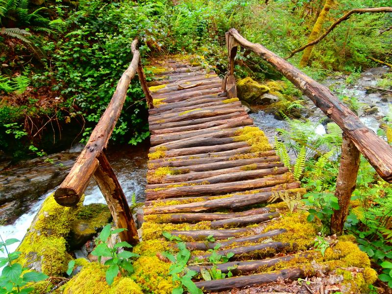 Bridge, stream, moss – Costa Occidental, Huelva province, Andalucía | Andaluciatours