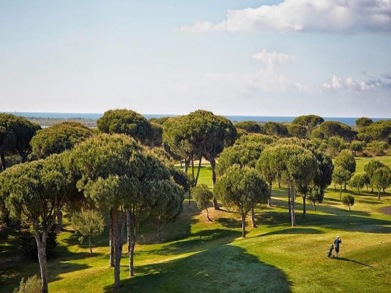 Trees, ocean, grass – Costa Occidental, Huelva province, Andalucía | Andaluciatours