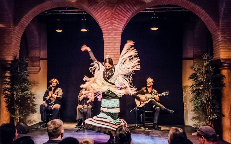 Flamenco performance at the Flamenco Dance Museum in Seville | Andaluciatours