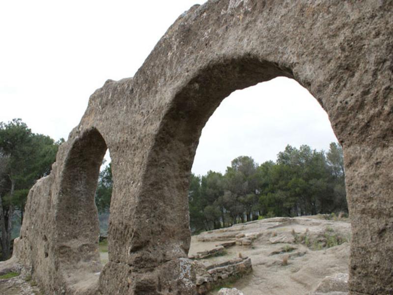 Ancient stone arches standing among pinewoods in the Guadalteba region, Málaga — explore its history with Andaluciatours.