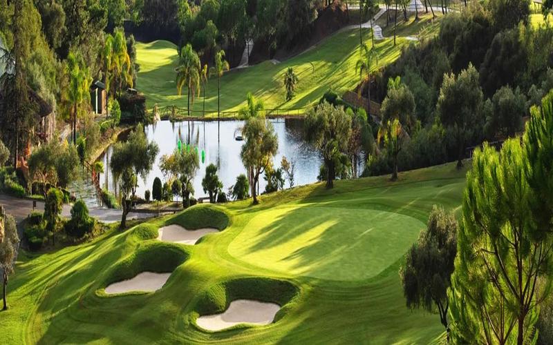 Golf course, green grass, trees – Higuerón Marbella Golf Resort, Costa del Sol, Málaga | AndaluciaTours