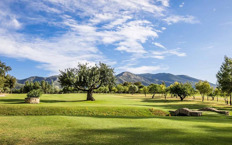 Golf course, green, trees – Lauro Golf, Valle del Guadalhorce, Málaga | AndaluciaTours