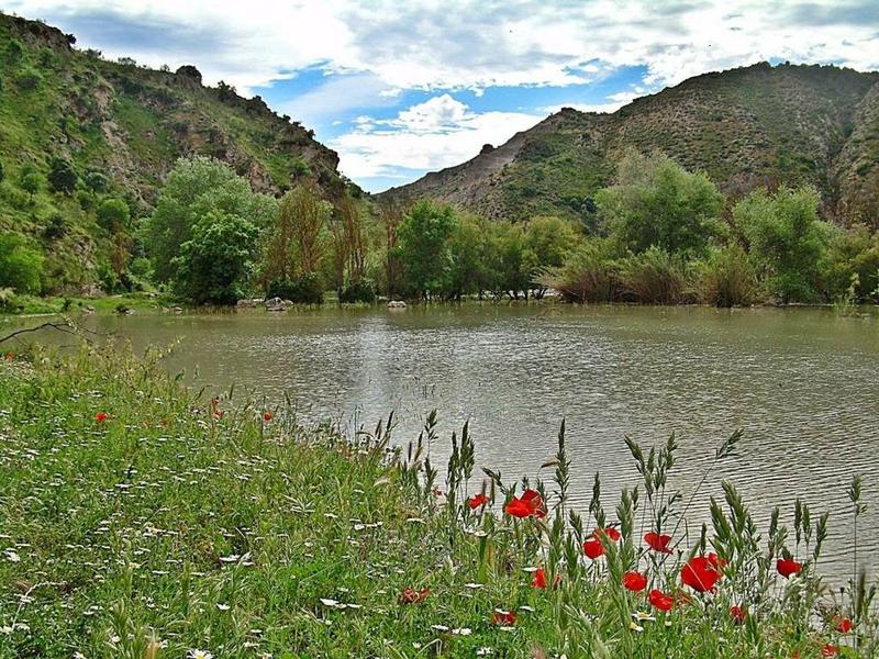 Landscape, water, wildflowers – Loja, Granada province, Andalucía | Andaluciatours