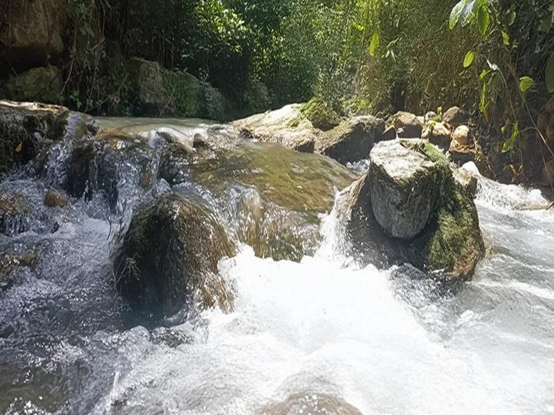River, water, nature – Loja, Granada province, Andalucía | Andaluciatours