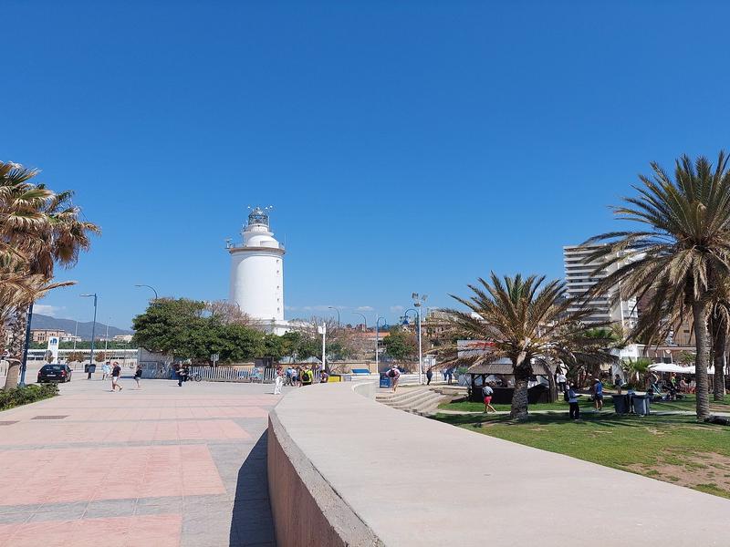 Palm trees, seaside, clear sky – Málaga, Andalucía | Andaluciatours