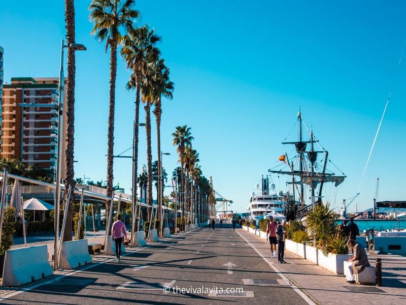 Palm trees, walkway, marina – Málaga, Andalucía | Andaluciatours