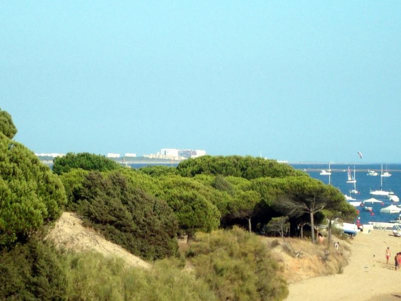 Beach, boats, trees – Metropolitana de Huelva, Huelva province, Andalucía | Andaluciatours