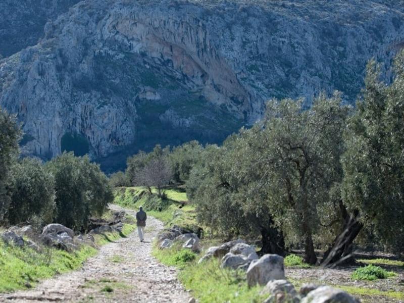 Path, mountain, nature – Nororma, Málaga province, Andalucía | Andaluciatours