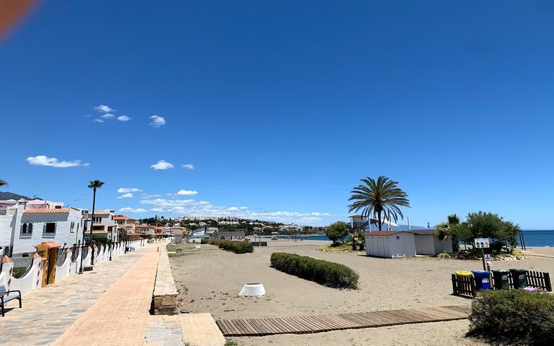 Beach, palm trees, clear sky – Playa Ancha, Costa del Sol, Málaga | Andaluciatours