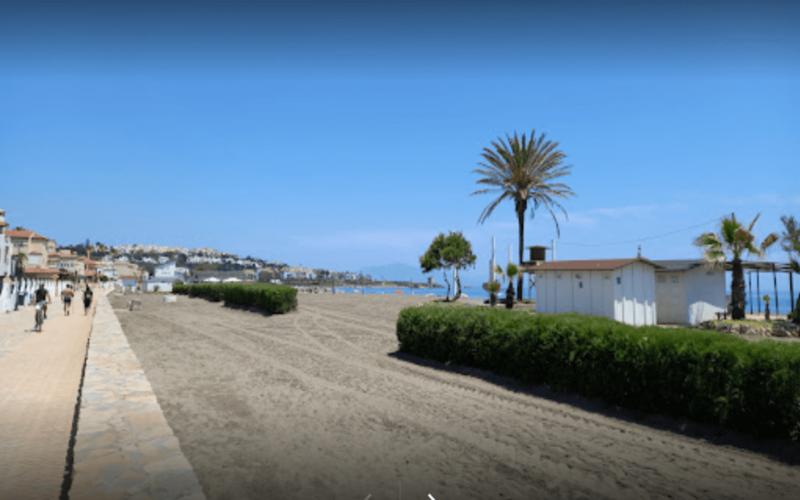 Beach, palm trees, coastline – Playa Ancha, Costa del Sol, Málaga | Andaluciatours
