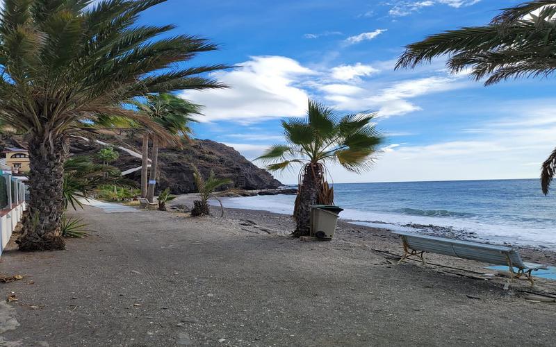Beach, palms, ocean – Playa Cabria, Costa Granadina, Granada | Andaluciatours