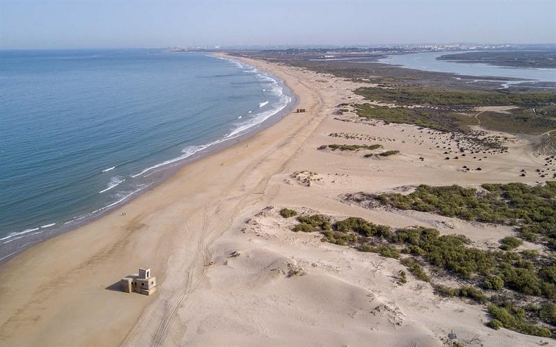 Beach, sand, coast – Playa de Camposoto, Bahía de Cádiz, Cádiz | Andaluciatours