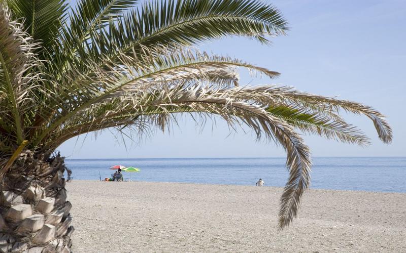 Playa de Carchuna in Costa Granadina, Granada — discover it with Andaluciatours.
