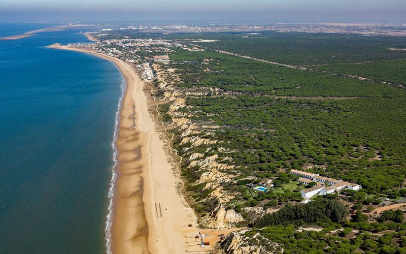Beach, coastline, forest – Playa de Mazagón, Metropolitana de Huelva, Huelva | Andaluciatours