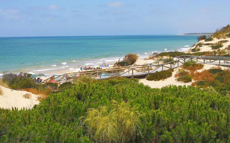 Beach, boardwalk, vegetation – Playa de Punta Candor, Costa Noroeste, Cádiz | Andaluciatours