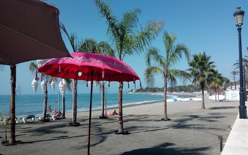 Beach, palm trees, umbrellas – Playa de San Pedro de Alcántara, Costa del Sol, Málaga | Andaluciatours