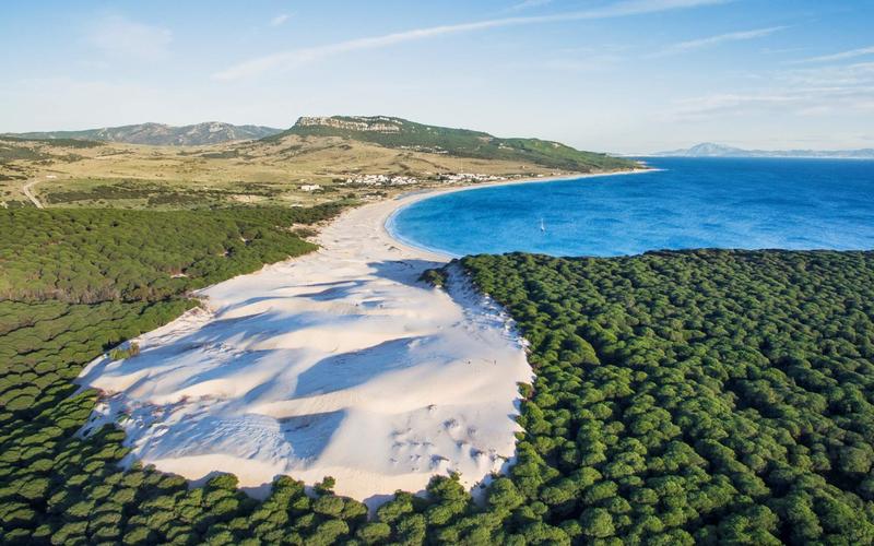 Beach, sand dunes, trees – Playa de la Alcaidesa, Campo de Gibraltar, Cádiz | Andaluciatours