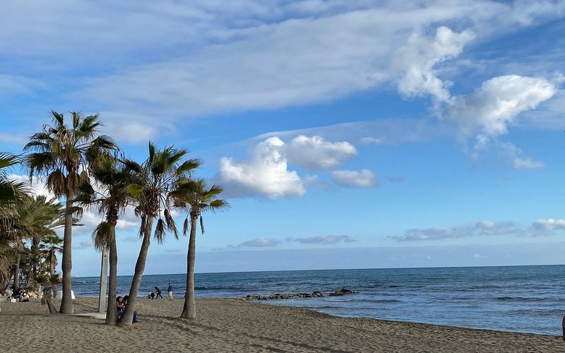 Beach, palm trees, clouds – Playa de la Bajadilla, Costa del Sol, Málaga | AndaluciaTours