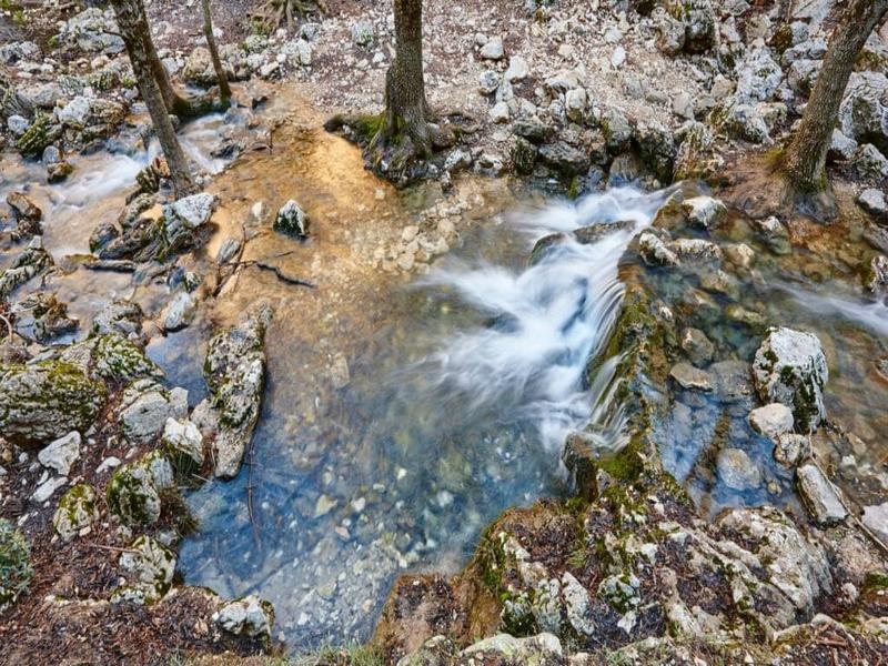 Stream, moss, forest – Río Nacimiento, Almería province, Andalucía | Andaluciatours