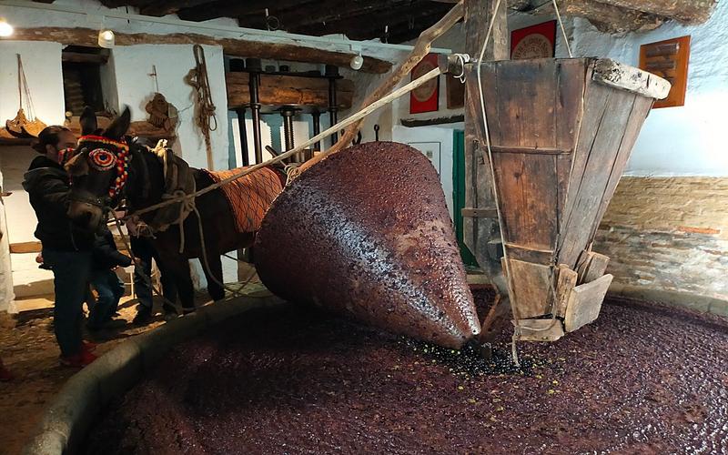 Ethnographic, mill, olives – Riogordo Ethnographic Museum, Axarquía, Málaga | Andaluciatours