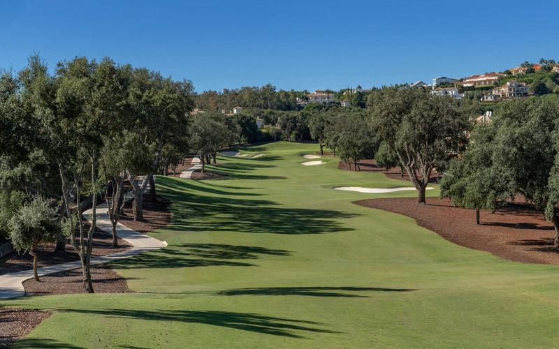 Golf course, green, trees – San Roque Golf Club, Campo de Gibraltar, Cádiz | Andaluciatours