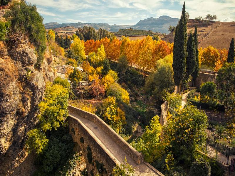 Landscape, autumn, bridge – Serranía de Ronda, Málaga province, Andalucía | Andaluciatours