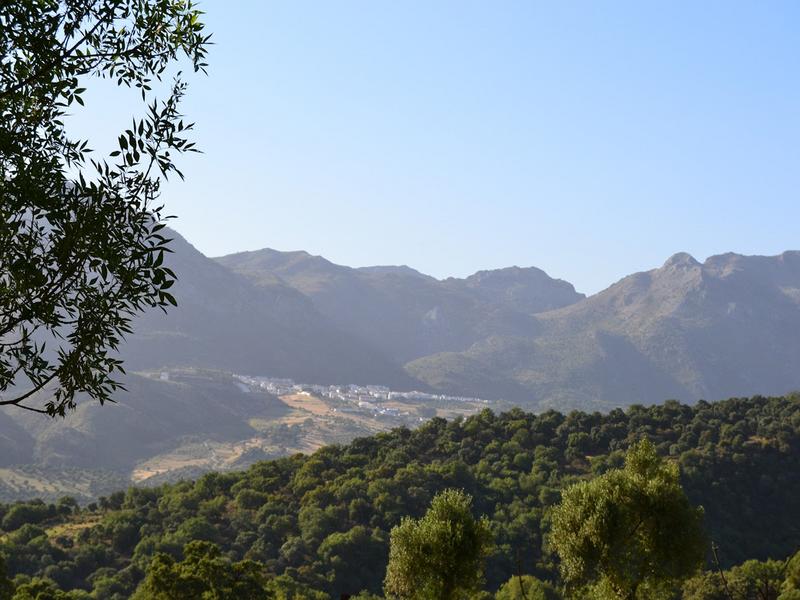 Landscape, mountains, village – Serranía de Ronda, Málaga province, Andalucía | Andaluciatours