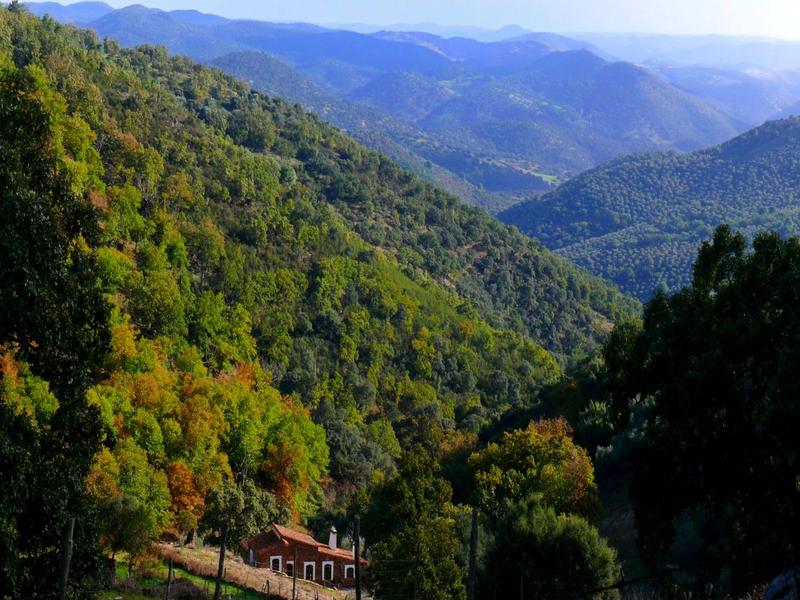 Hills, trees, landscape – Sierra Morena, Jaén province, Andalucía | Andaluciatours