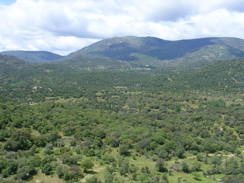 Hills, trees, landscape – Sierra Sur, Seville province, Andalucía | Andaluciatours