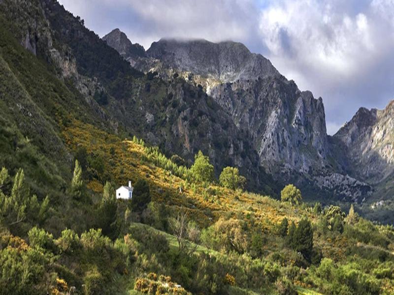 A green valley and rugged limestone peaks in the Sierra de las Nieves national park, Málaga — explore with Andaluciatours.
