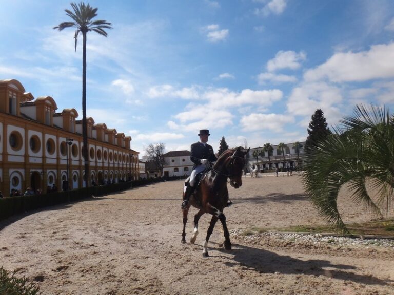 Andalusian horses performing at the Royal Andalusian School of Equestrian Art in Jerez | Andaluciatours