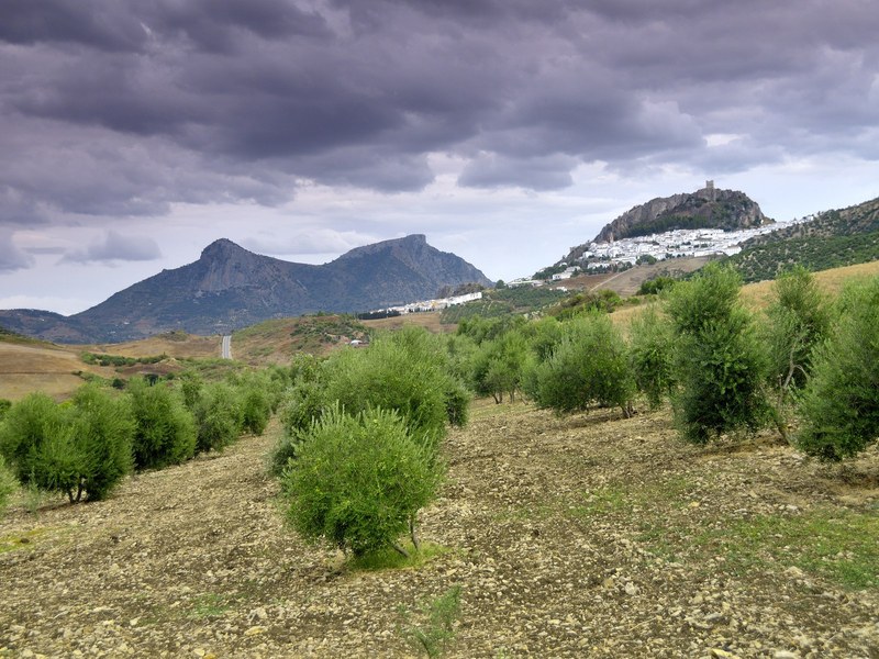 Hilltop white village of Zahara de la Sierra above its turquoise reservoir, Sierra de Grazalema, Spain