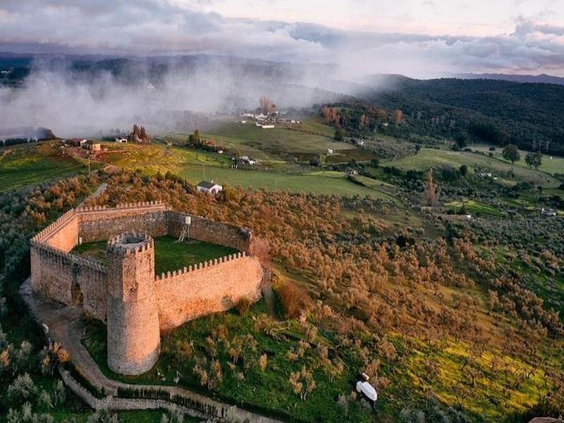 A well-preserved medieval castle amid misty olive groves in the Vega del Guadalquivir, Seville — discover it with Andaluciatours.